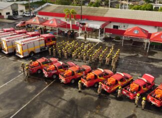 Wilson Lima inicia Operação Aceiro 2024 com envio de militares ao sul do estado e Região Metropolitana de Manaus