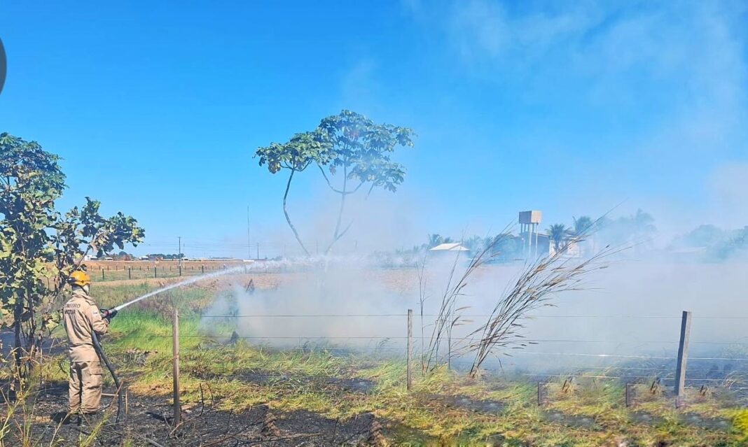 Foto: Divulgação / CBMAM