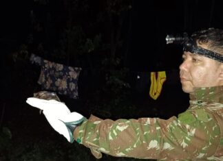 Vigilância em Saúde do Amazonas realiza ação de controle de morcegos em Maraã