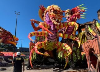 Crea Amazonas intensifica ações de fiscalização durante as festividades em Parintins