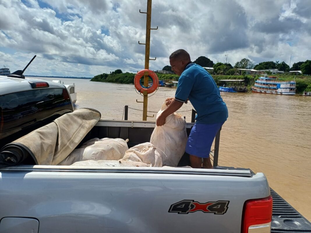 Idam_Início de envio de sementes de cacau_Fotos Divulgação