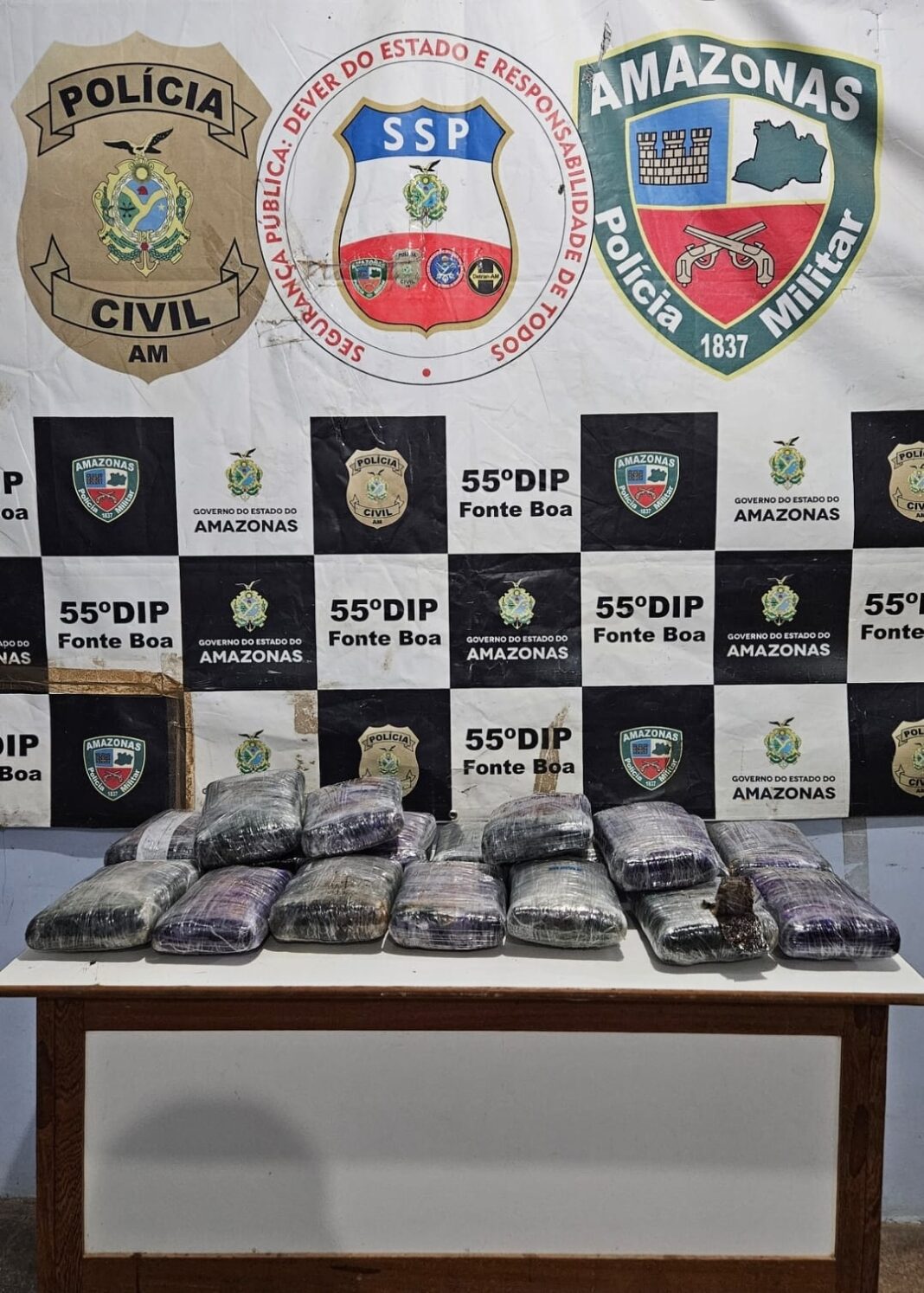 MATERIAL APREENDIDO_FOTOS DIVULGAÇÃO (2)