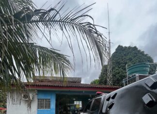 Violência doméstica: PC-AM prende homem por lesão corporal contra sua esposa, em Alvarães