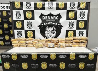 Combate ao tráfico: PC-AM apreende mais de R$ 1 milhão em drogas em operação na zona leste de Manaus