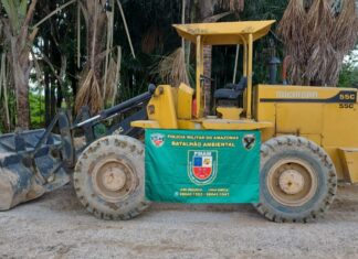 Após denúncia anônima, Polícia Militar do Amazonas flagra crime ambiental em APP
