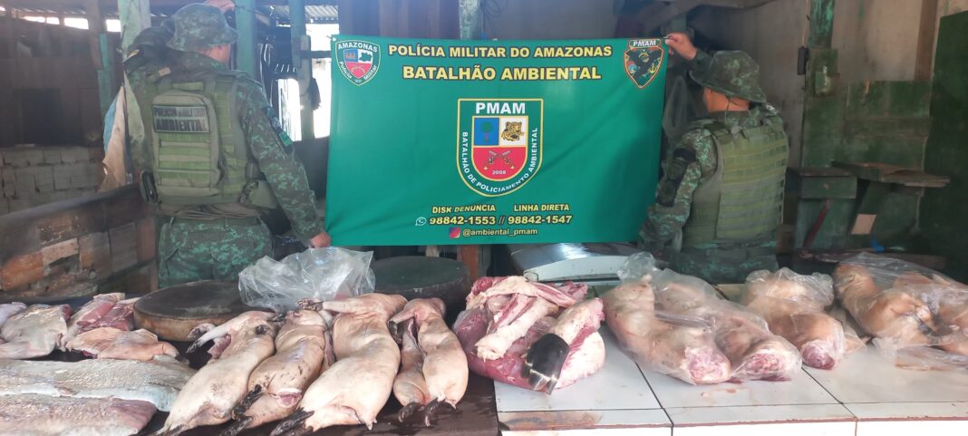 PMAM_CARNE_SILVESTRE_PESCADO_ILEGAL_FOTO_DIVULGAÇÃO_PMAM