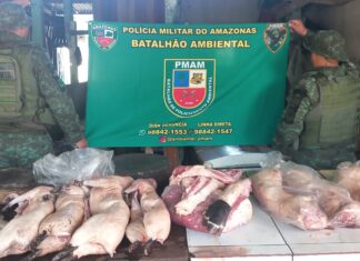 PMAM apreende carnes de animais silvestres e pescado ilegal em estabelecimento no interior