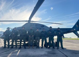 Polícia Militar do Amazonas flagra desmatamento ilegal no município de Manicoré