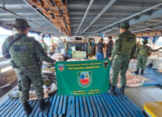 PMAM prende três pessoas e apreende 4,9 toneladas de carga ilegal no porto de Manaus