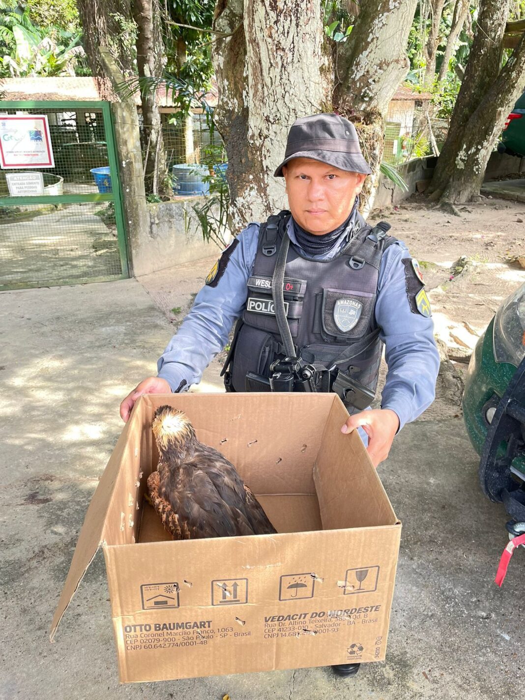 PMAM_RESGASTE-GAVIAO_AM-070_FOTO-DIVULGACAO-PMAM-2.jpg