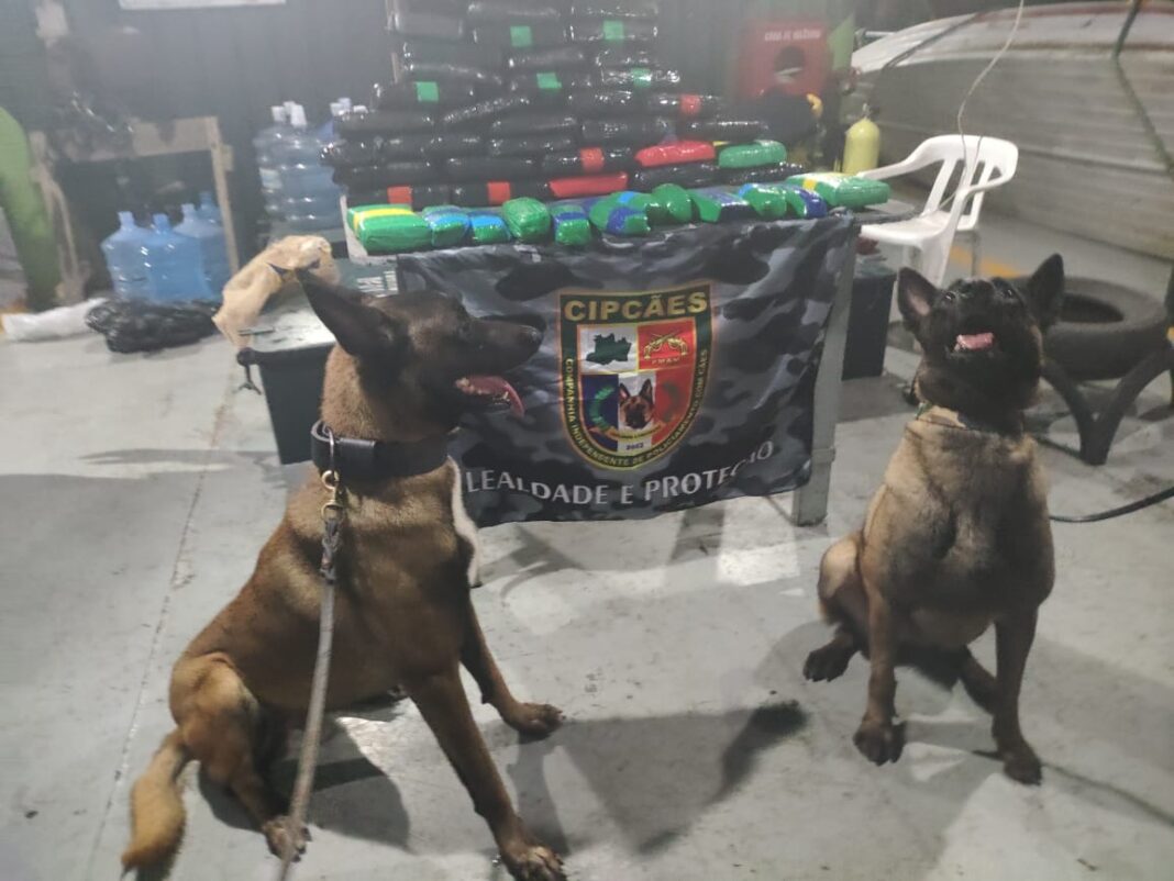 Foto: Divulgação / SSP-AM