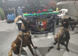 Base Arpão 1: PMAM prende cinco homens com mais de 54 kg de cocaína e pasta-base de cocaína em Coari