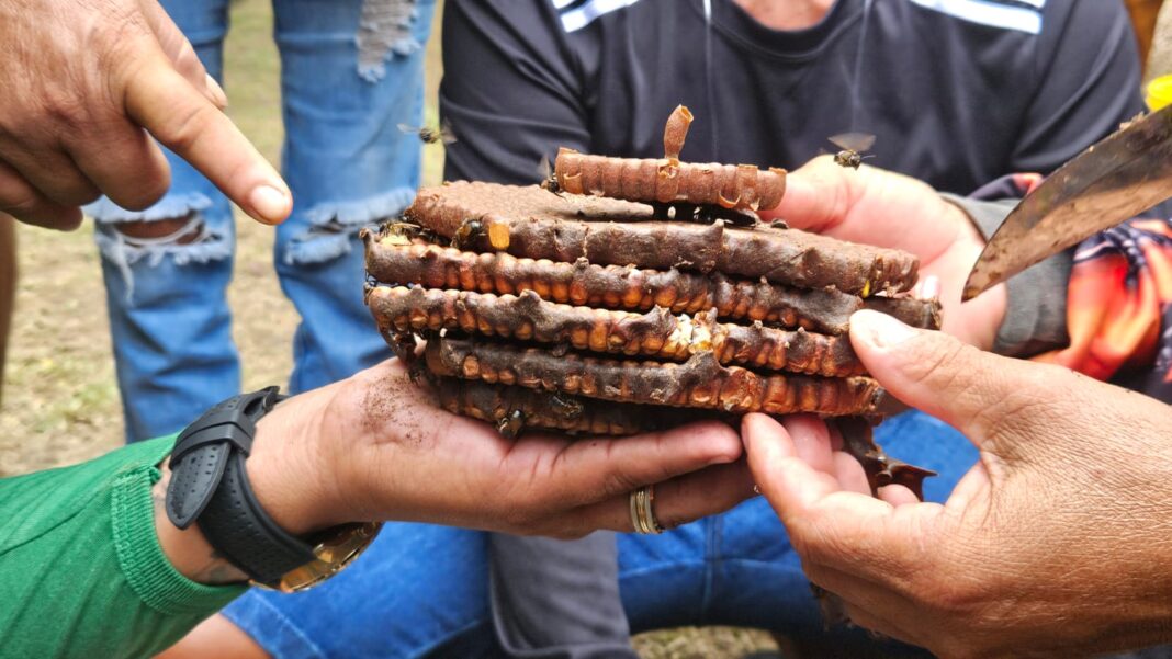 Foto: Noir Miranda / Sema