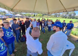 Sepror agrega novos métodos de produção Pecuária Sustentável em dia de campo da Embrapa