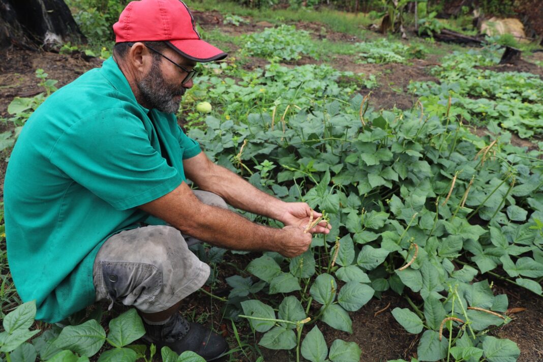 Foto: Isaac Maia / Sepror