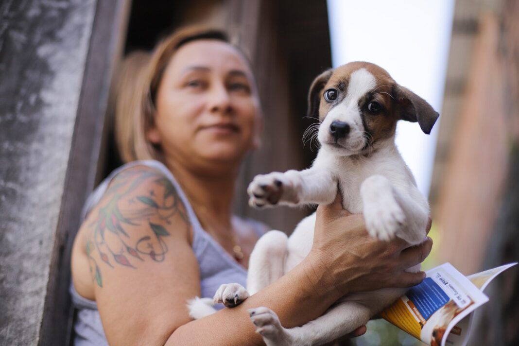 UGPE AÇÃO CONTRA ABANDONO ANIMAL_TIAGO CORREA_UGPE