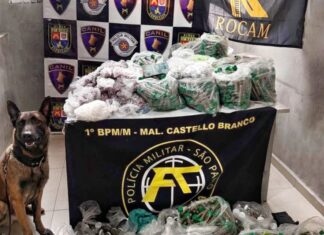 PM desativa duas ‘casas bomba’ e apreende mais de 90 kg de drogas na zona sul