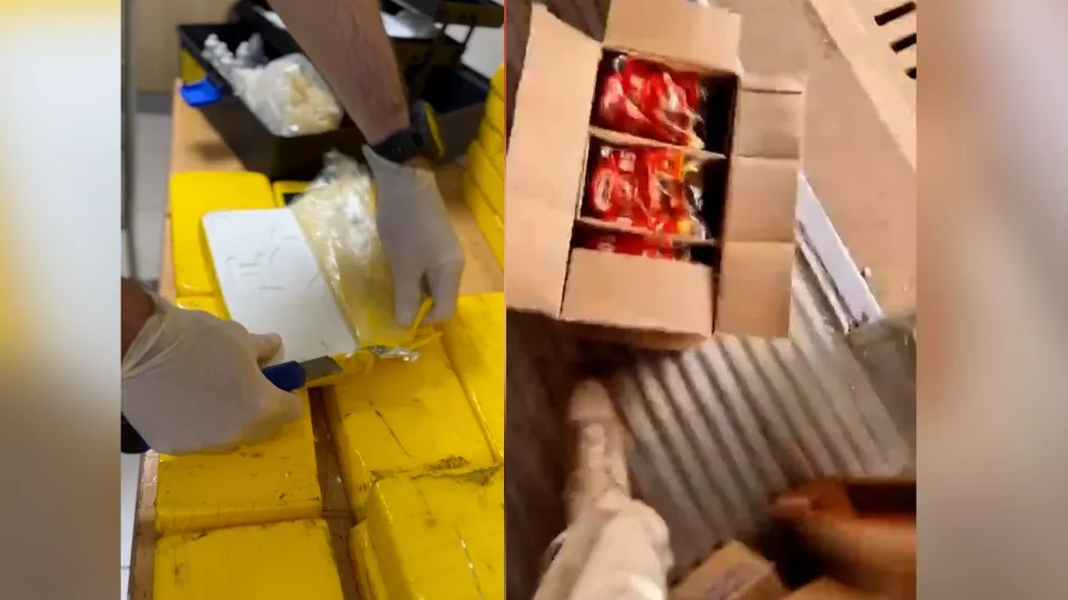 172212906766a59aabe044d