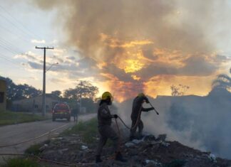 Em 45 dias de missão, Operações Aceiro e Céu Limpo já combateram 1.454 focos de incêndio no Amazonas