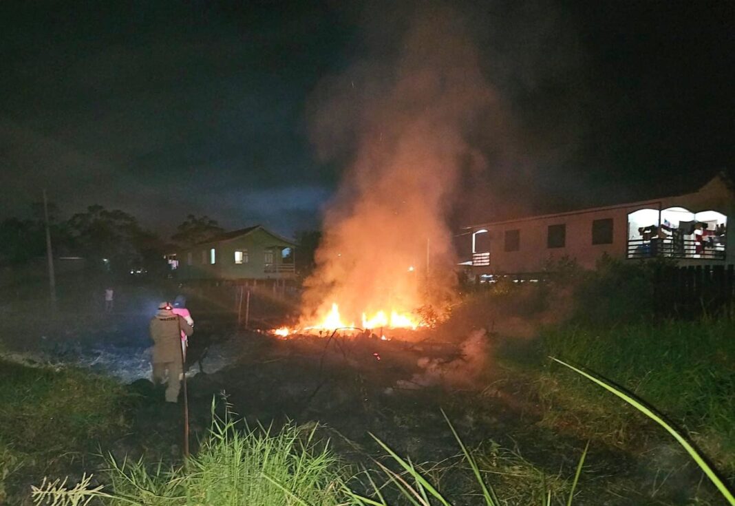 Foto: Divulgação / CBMAM