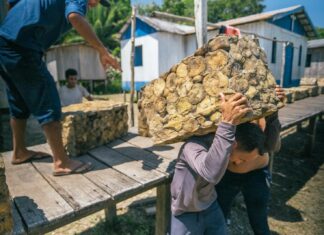 Rede emissora do Cadastro Nacional da Agricultura Familiar ganha reforço com apoio do CNS