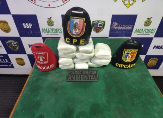 Base Arpão 1: Cão de faro localiza drogas avaliadas em mais de R$2,6 milhões em Coari