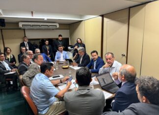 Senador Omar defende Zona Franca e UEA em reunião emergencial com GT da Reforma Tributária