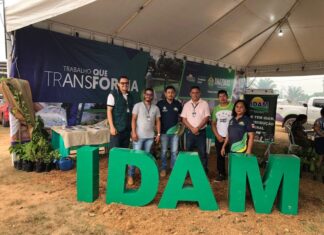 Festa do Cupuaçu: estande do Idam disponibiliza serviços ao setor primário