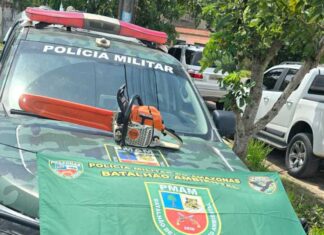 Polícia Militar do Amazonas prende homem por desmatamento na AM 070