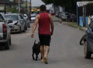 Polícia Civil do Amazonas alerta que maus-tratos contra animais podem resultar em prisão de 2 a 5 anos