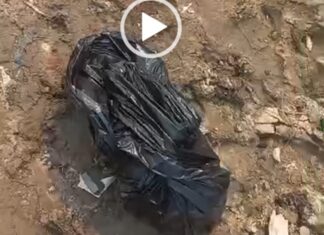 Video: Enrolada em saco plástico, cabeça é encontrada