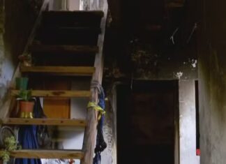 Homem esfaqueia namorada, coloca fogo na casa dela e morre carbonizado