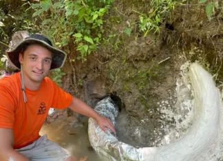 Homem descobre presa rara de mamute que remonta à Idade do Gelo