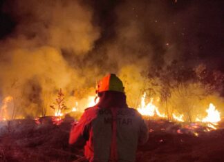 Operação Aceiro: Corpo de Bombeiros combate incêndio em área de vegetação no município de Boca do Acre