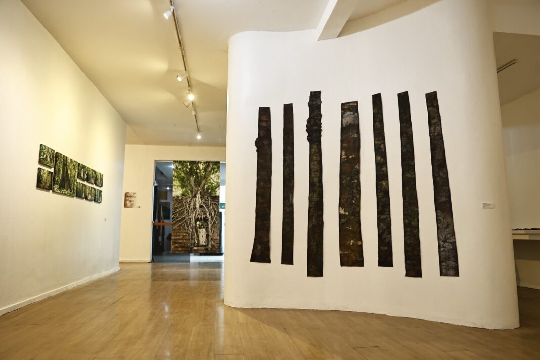 Foto: David Martins / Secretaria de Cultura e Economia Criativa