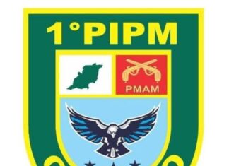 Em Careiro, Polícia Militar do Amazonas prende homem por tentativa de homicídio