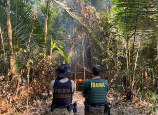 PF deflagra operação Pagarod 2 na Terra Indígena Sete de Setembro e Operação Xalawata 2 em Terra Indígena Zoró