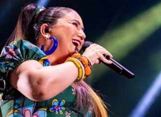 Polícia do Rio investiga roubo de caminhão da cantora Maria Rita