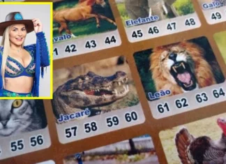 Deolane movimentou milhões no jogo do bicho, segundo polícia