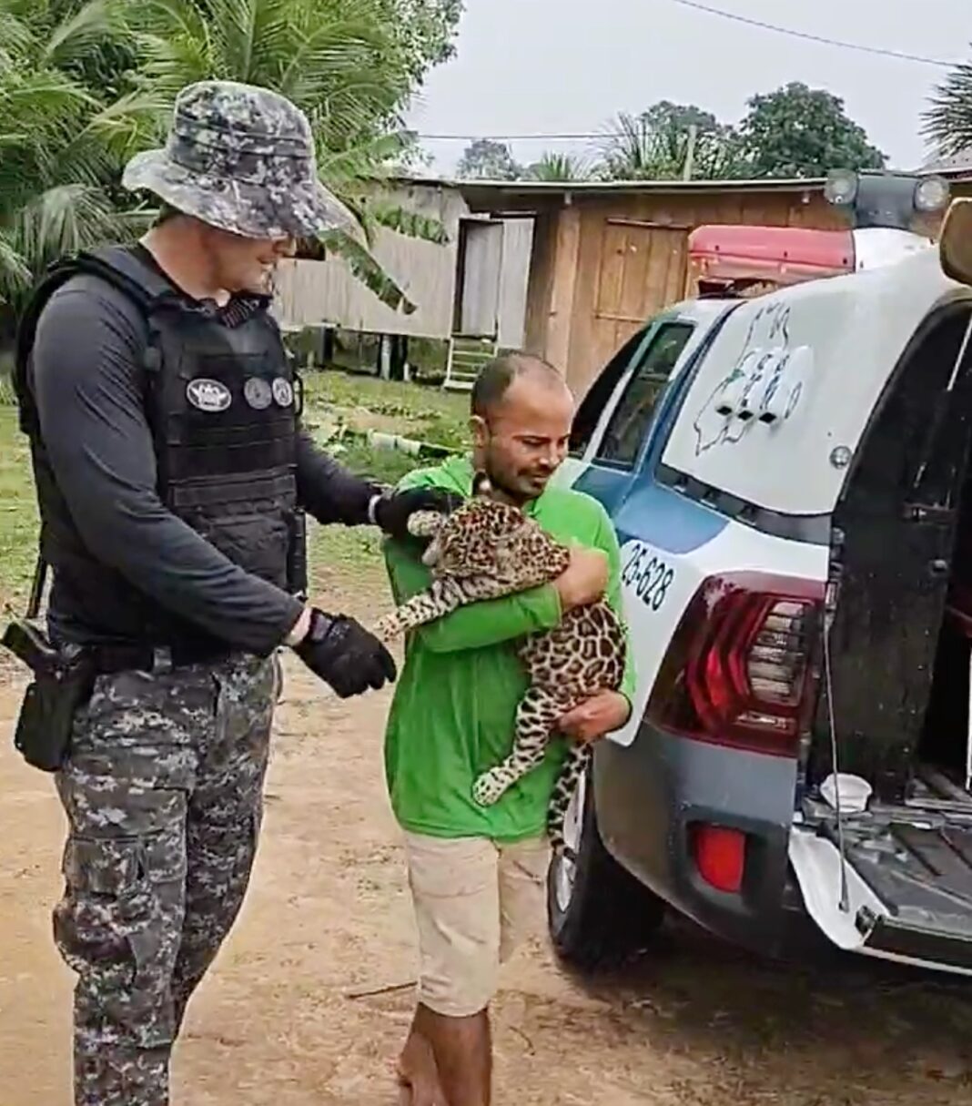 SSP RESGATE FILHOTE_FOTO_DIVULGAÇÃO_SSP