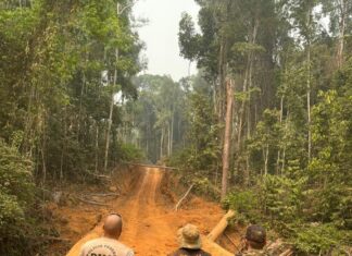 Polícia Federal deflagra Operação Jacundá em combate a crimes ambientais em Rondônia