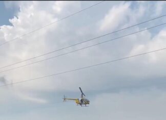 PF e Polícia Militar apreendem mais de 400 kg de maconha