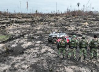 Presos dois suspeitos de provocar incêndios na Amazônia