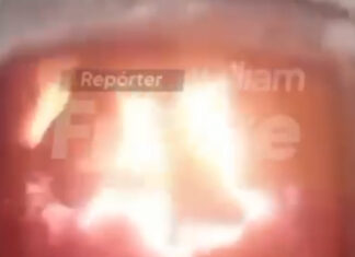 Vídeo fortissimo: Menino de 14 anos joga filhotes de cachorro em fornalha e filma para amigos em SC “queimados vivos”