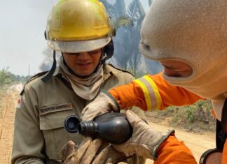 Em Manaus, Corpo de bombeiros já resgatou mais de 500 animais neste ano