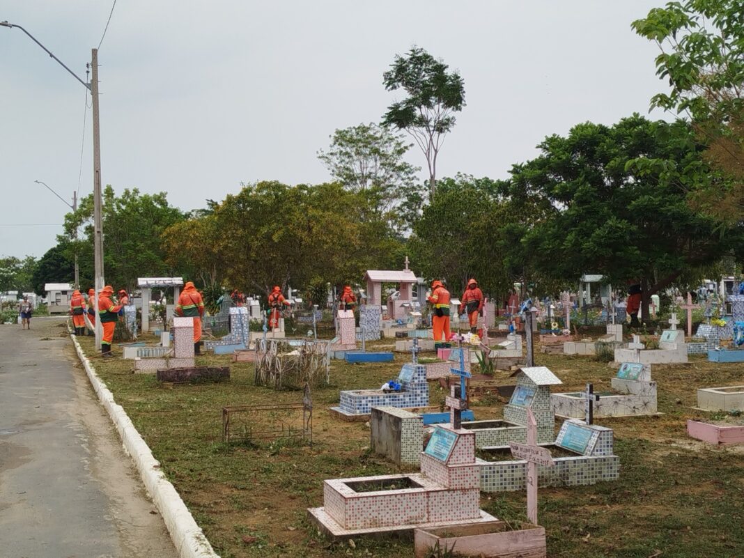 Semulsp (3)
