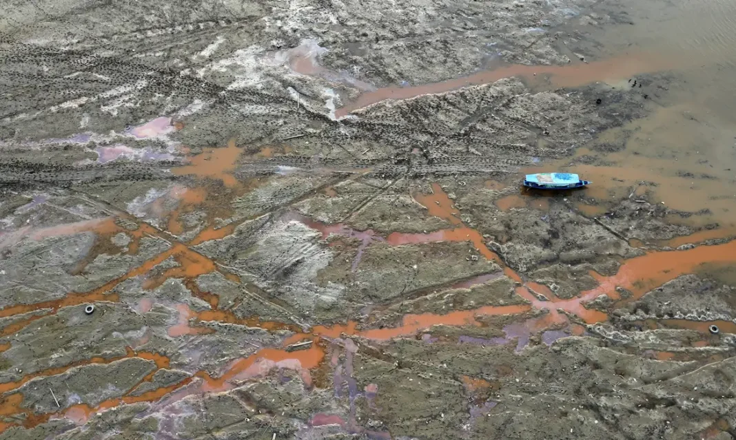 adriano_gambarini_-_wwf-brasil_5