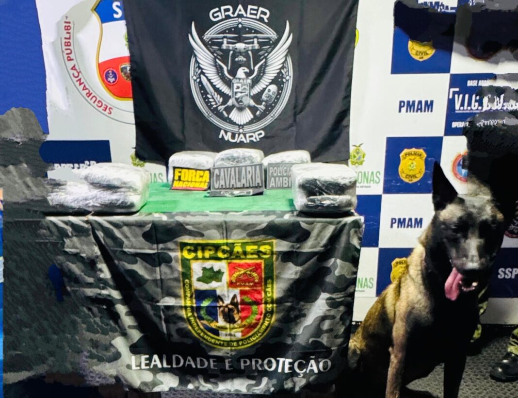 Foto: Divulgação / SSP-AM