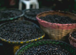 Reforma Tributária sobretaxa açaí e produto poderá ficar mais caro, aponta estudo