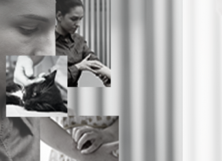 Esporotricose: Tratamento e notificação de casos são essenciais para barrar expansão da doença